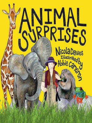 cover image of Animal Surprises